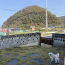 호미로2139 이미지