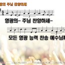 영광의손