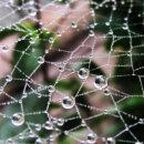 삼금공업주식회사 이미지