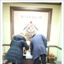 마티애견 이미지