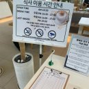 몬테인 | 시흥 브런치 맛집 <몬테인> 드디어 방문한 내돈내산 후기-홍게살 파스타, 라자냐, 발사믹 풍기 피자 추천