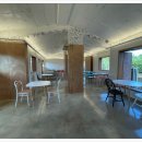 애견세상 이미지