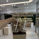 뭉구 애견 이미지