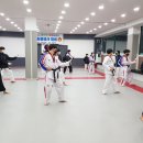 용인대청룡태권도장 이미지