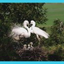 고흥만힐링체험센터 이미지