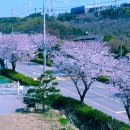 더팩토리(블루커피) 이미지