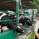 후사랑밀크(환희목장) 이미지