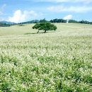 춘하추동