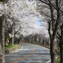 파미힐스 컨트리클럽 이미지