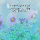 (유)금강자동차 이미지