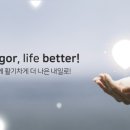 비고르바른건강핫톡 이미지