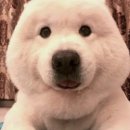 대부도 해바다펜션 이미지