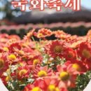 마이스인제주