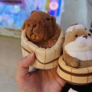 꿀통 옥정점 이미지