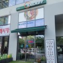 [고덕/명일] 샐러디 메뉴추천 우삼겹웜랩 (칼로리 생각보다 매우높음 주의)