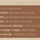 에스제이뷰티 이미지