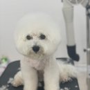 개린이살롱 이미지