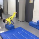 양우합기도 이미지