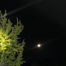 남구-038 네이버블로그