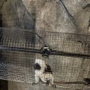 유니온로 | 하남 주렁주렁 두돌 아기 실내 동물원 방문 후기 주차 할인정보