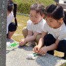 남면초교 유치원 이미지