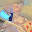 센스 | 무선 청소기 추천 캐치웰 에이센스 후기 가성비 흡입력 솔직 리뷰