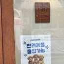 4323 | 검단 카페 추천｜잔잔한 숲에서 보낸 여유로운 시간🌳