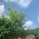 야간)생활도예 이미지