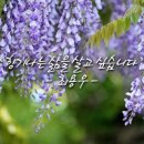 꽃향기차향기