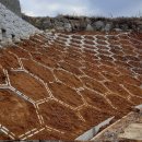 고삼초등학교 이미지