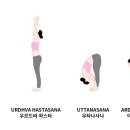 빈야사요가A 이미지