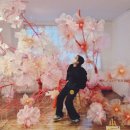 태백산맥문학관 야외화장실 | 강릉여행 디자인씽킹뮤지엄 / 아이와 가볼만한 곳, 실내 실외 토끼먹이체험 등 후기