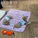 우리짐 홍대점 | 동교동헬스장 우리짐 홍대점 헬스장 기구 좋은 곳