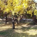 위례도서관 1층 이미지