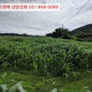 기리경로당 이미지