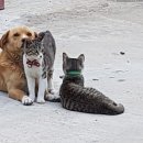 말래펜션 이미지