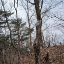 대조2리 이미지