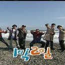 월천해수욕장 Daum카페