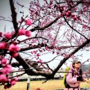 세신인창종합상가 이미지