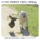 조선포차 네이버블로그