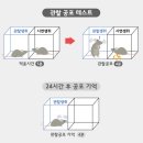 공감 이미지