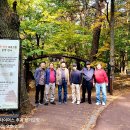 제23회 "HL Old Timer's" 추계(속리산) 정기모임 진행사진 (법주사 편) 이미지