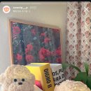 스위트 피피 이미지