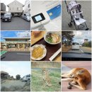 코뿔소카서비스 | 후쿠오카 공항 렌트카 예약 ETC 카드 무료 일본 고속도로 휴게소 아프리칸 사파리 투어 후기