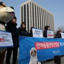 회원펫샵
