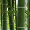 경희자연한의원 이미지