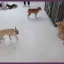 바우밸리 이미지