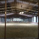 덕소 승마클럽 이미지