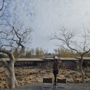 카페라바섬 | [여행] 제주/애월 3월 한달간 무료입장 파호이호이 라바필드 솔직후기