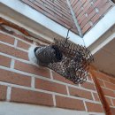 신기경로당(서운) 이미지